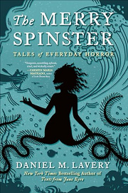 Book Cover for The Merry Spinster