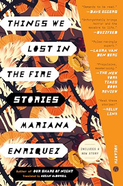 Book Cover for Things We Lost in the Fire