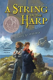 Book Cover for A String In The Harp
