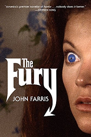 Book Cover for The Fury