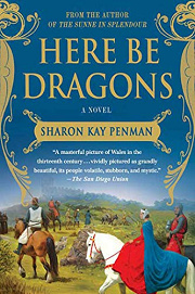 Book Cover for Here Be Dragons