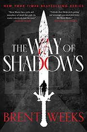 Book Cover for The Way of Shadows