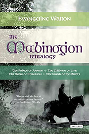 Book Cover for The Song of Rhiannon
