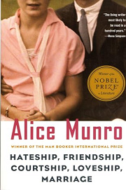 Book Cover for Hateship, Friendship, Courtship, Loveship, Marriage