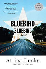 Book Cover for Bluebird, Bluebird
