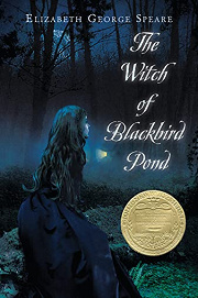 Book Cover for The Witch of Blackbird Pond