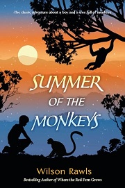 Book Cover for Summer of the Monkeys