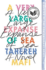 Book Cover for A Very Large Expanse of Sea