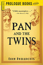 Book Cover for Pan And The Twins