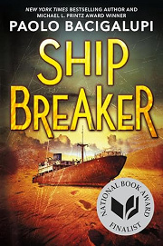 Book Cover for Ship Breaker