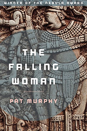 Book Cover for The Falling Woman