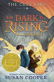 Book Cover for The Grey King