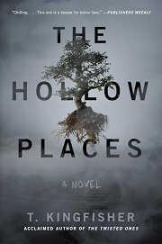 Book Cover for The Hollow Places